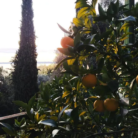 La Limonaia Garda, Extraordinary Silent Position, Great View 加尔达