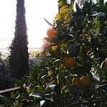 La Limonaia Garda, Extraordinary Silent Position, Great View Garda (Verona)